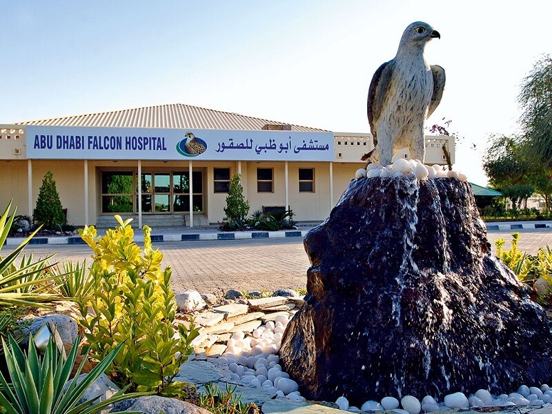 Falcon Hospital Abu Dhabi Dubai