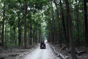 Things to Do in Jim Corbett National Park