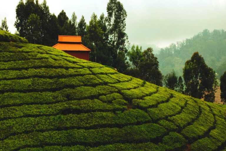 lesser know Hill Station in Tamilnadu
