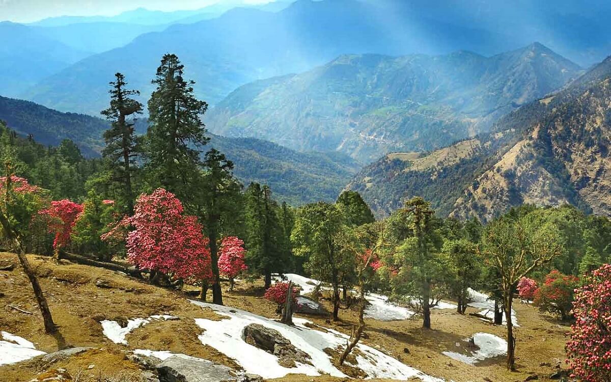 Almora Uttarakhand