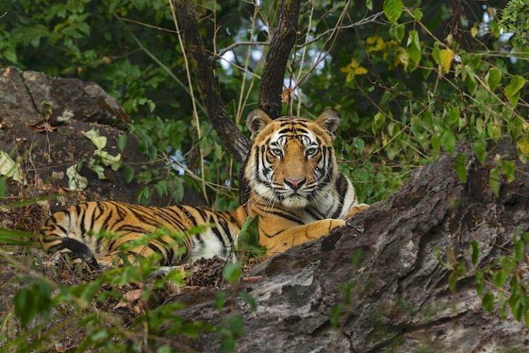 national park in India