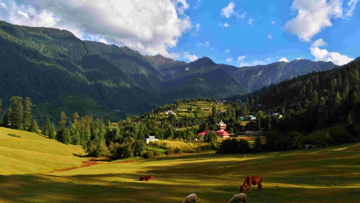 Jibhi, Tirthan Valley, Himachal