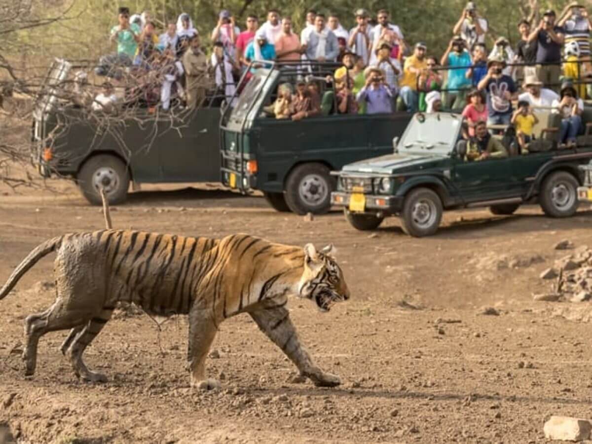 Madhav National Park, Madhya Pradesh