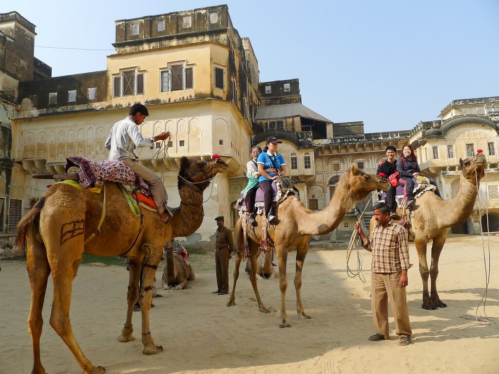 Mandawa Camel Safari, Rajasthan