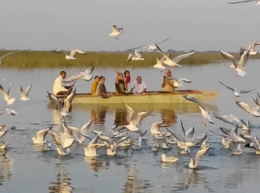 Nal Sarovar Bird Sanctuary, Gujarat2