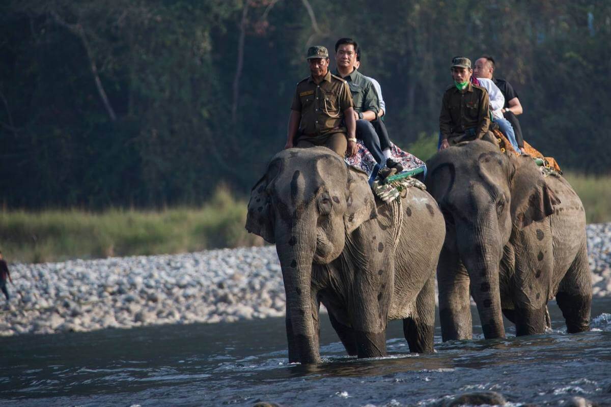Namdapha National Park Arunachal Pradesh