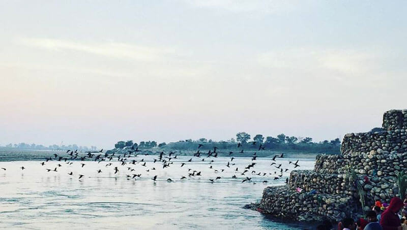 Neel Dhara Bird Sanctuary, Haridwar