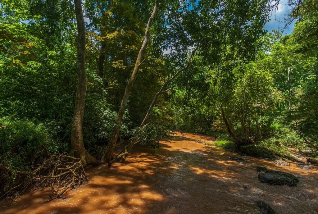Nongkhyllem Wildlife Sanctuary Meghalaya