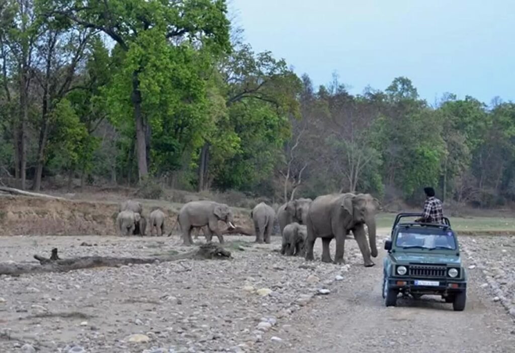 Rajaji National Park, Dehradun, Uttarakhand