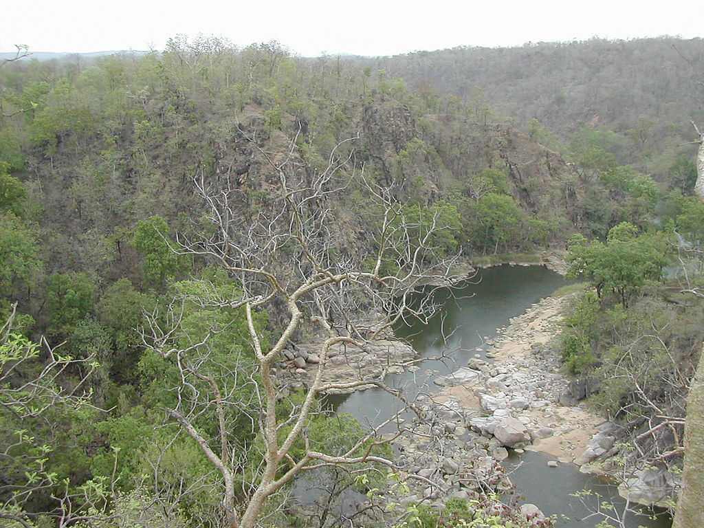 Sanjay National Park, Madhya Pradesh