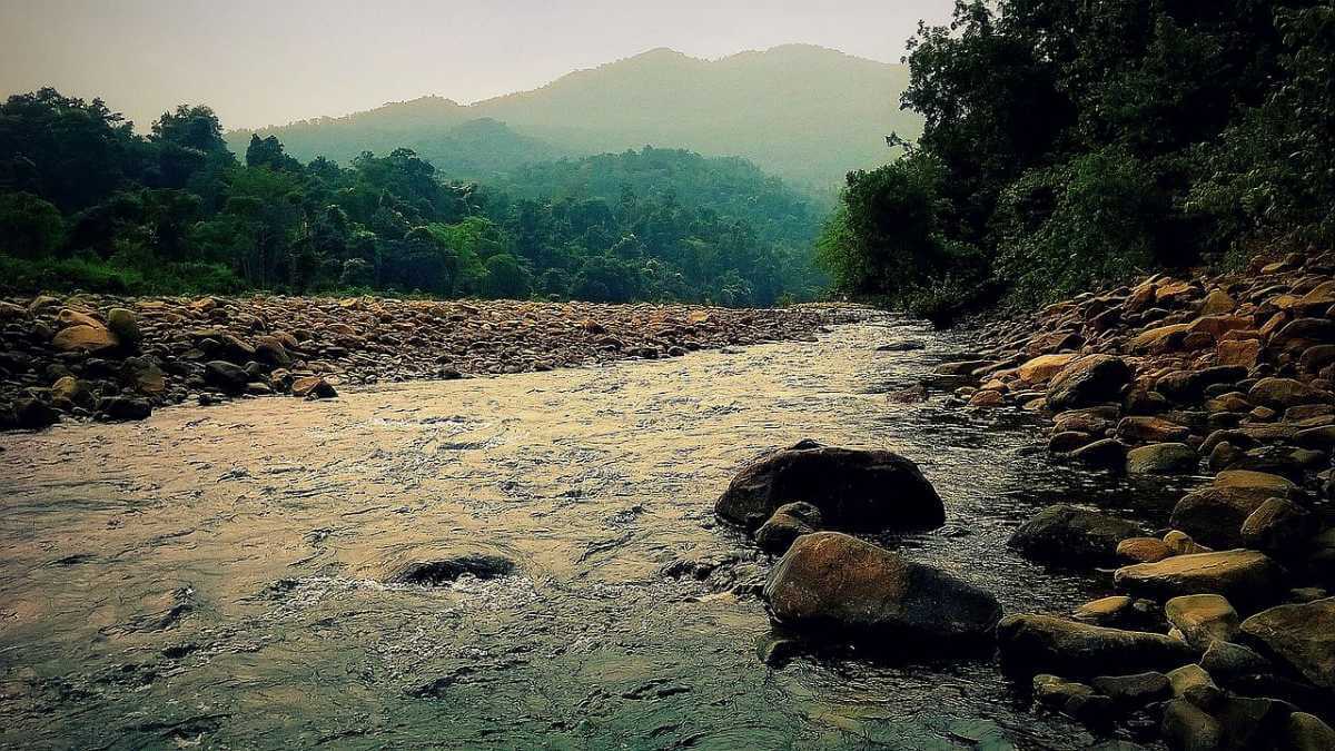 Simlipal National Park Odisha