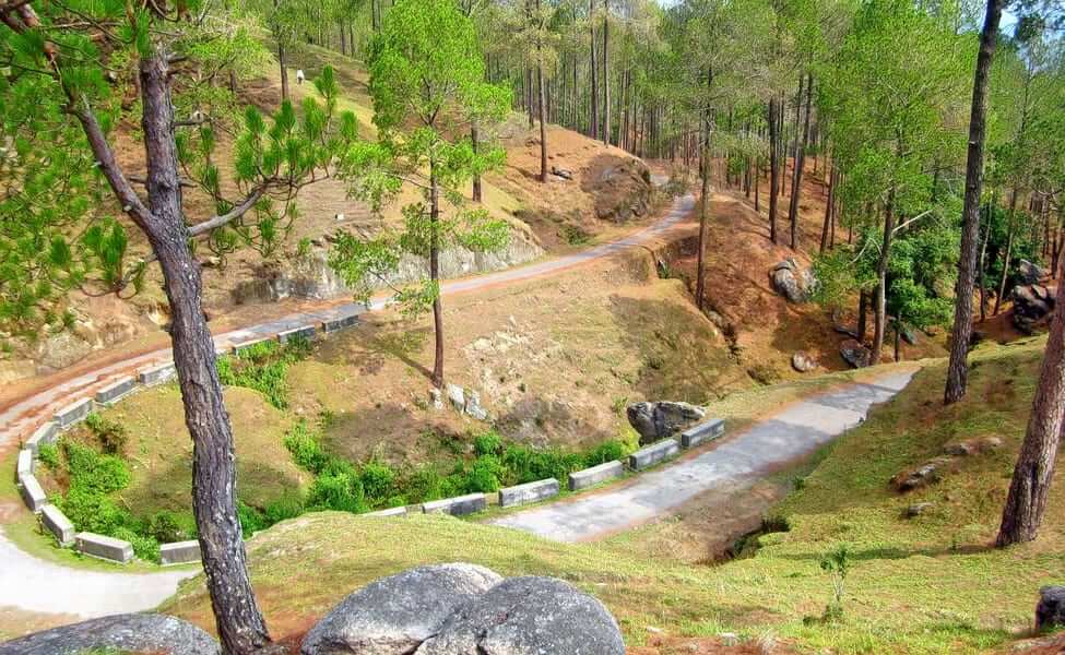 Tarikhet, Ranikhet, Uttarakhand