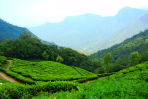 Top Hill Stations of Kerala