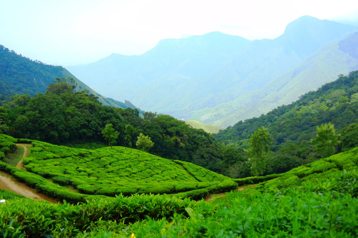 tourist places in kerala hill stations