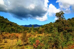 Ziro Valley Arunachal Pradesh