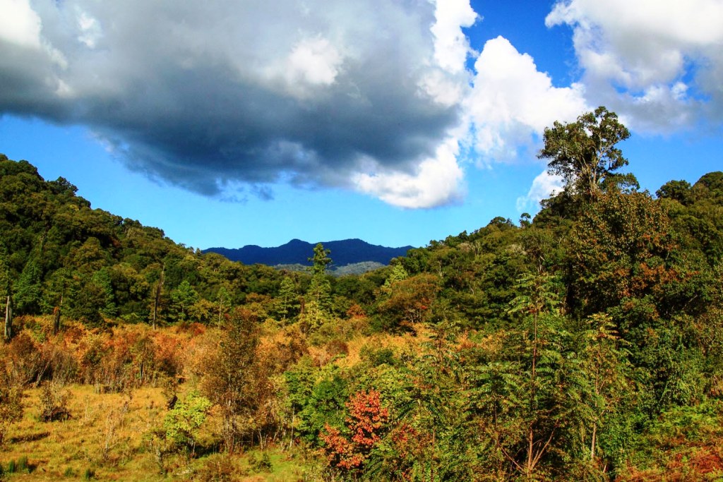 Ziro Valley Arunachal Pradesh