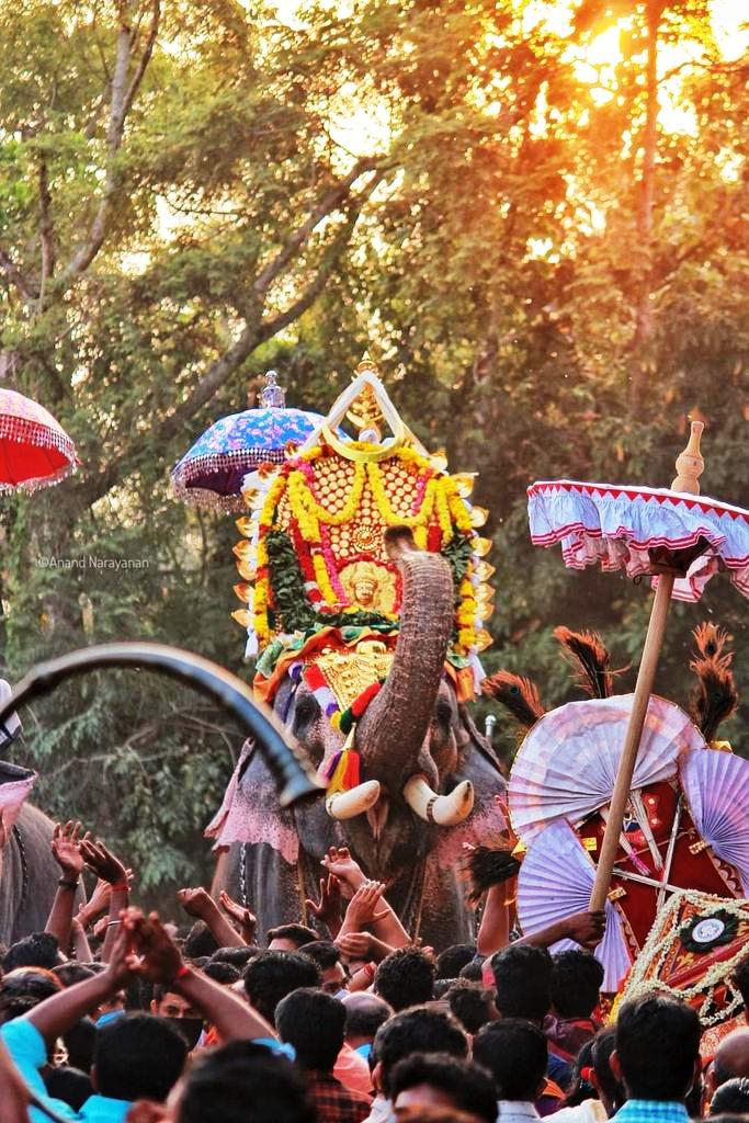 Arattu Festival Event