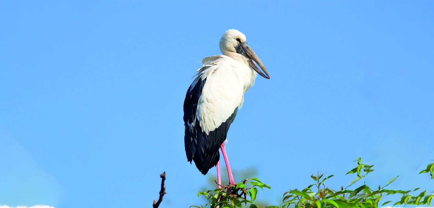 Bakhira Wildlife Sanctuary