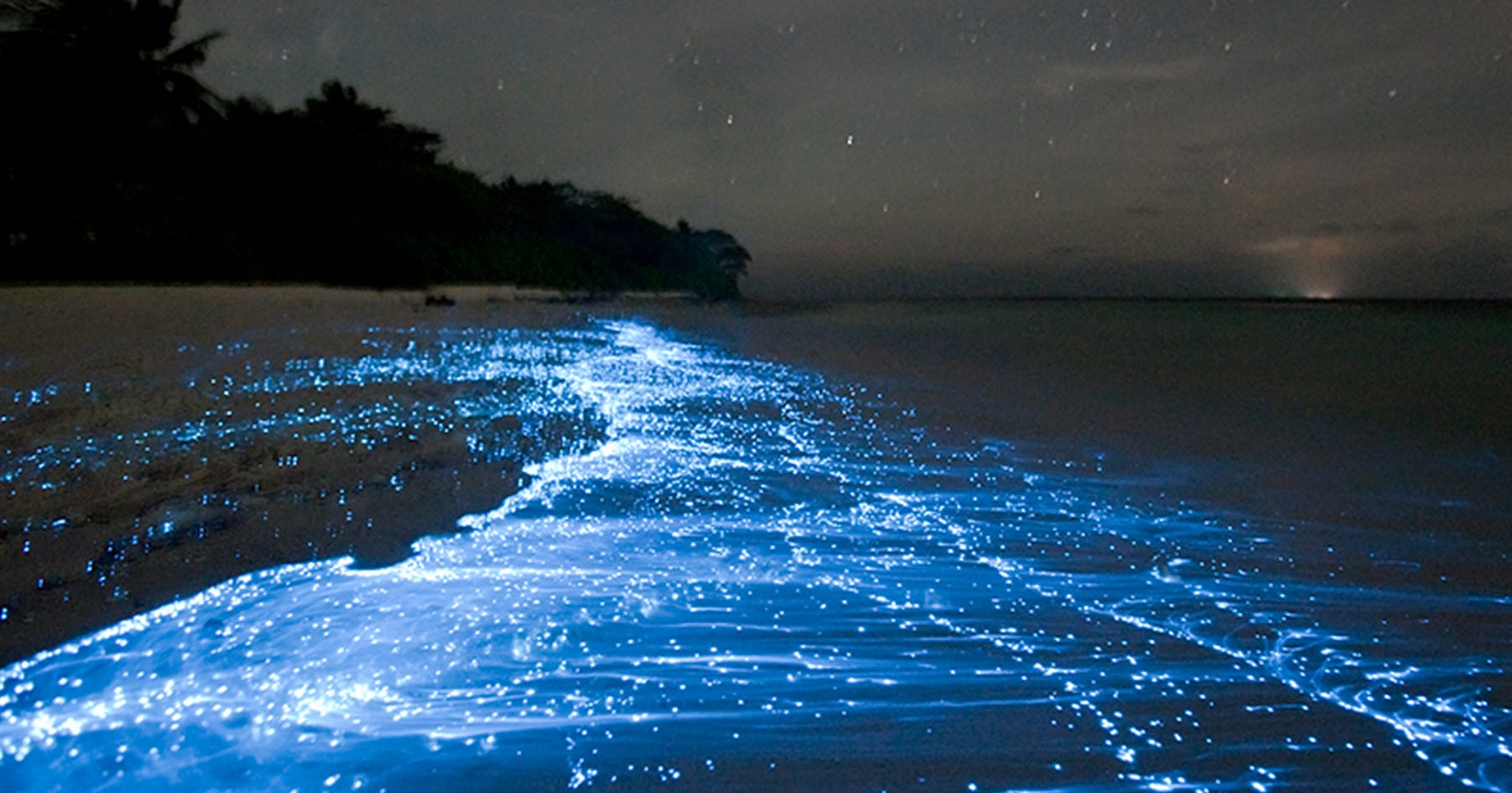 Bioluminescent Water in Maldives