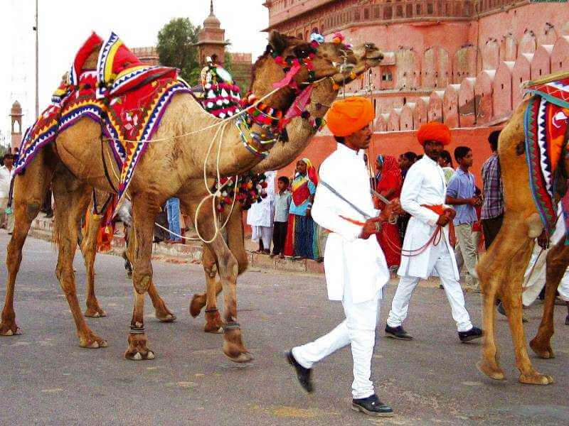 Camel Rides Taj Mahotsav, Agra