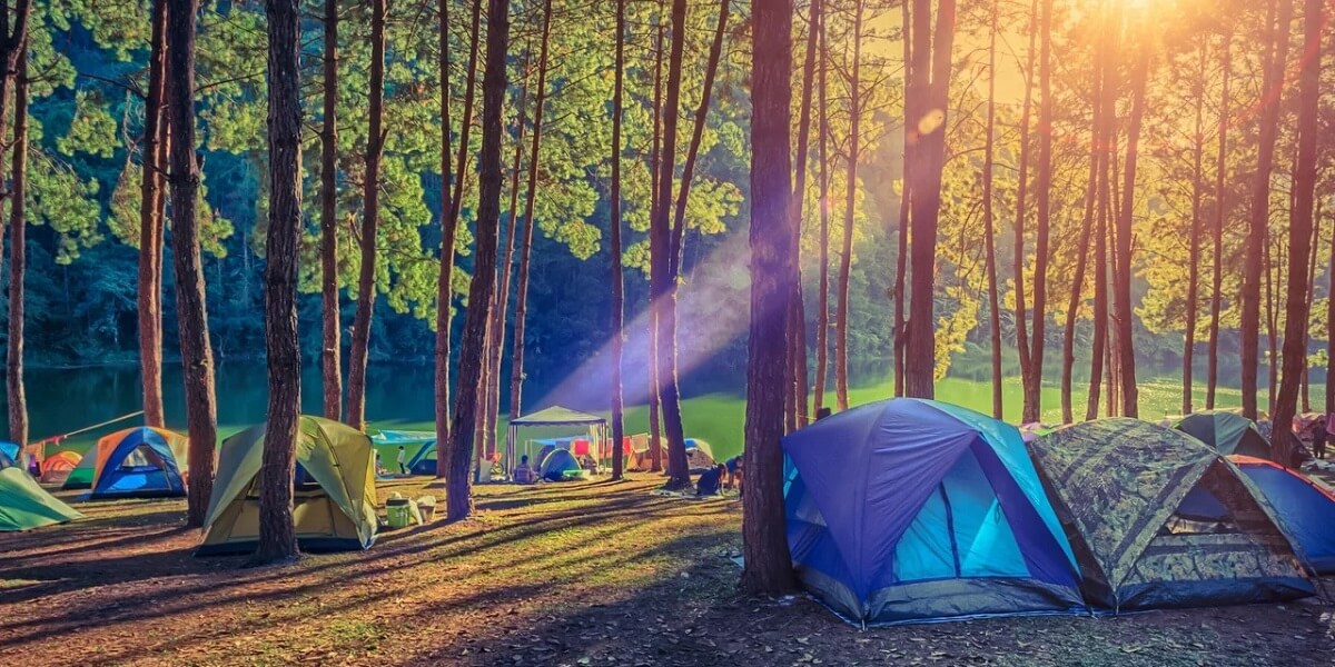 Camping in Jharipani, Uttarakhand