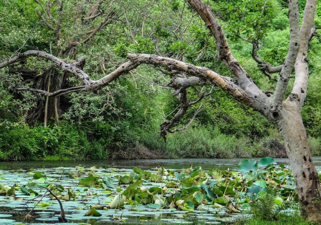 Dev Kho Gwalior Madhya Pradesh