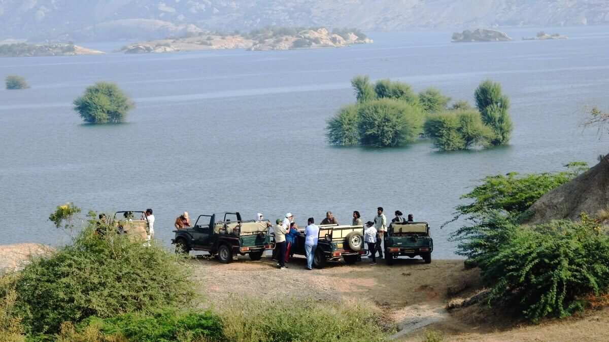 Jawai, Mount Abu, Rajasthan