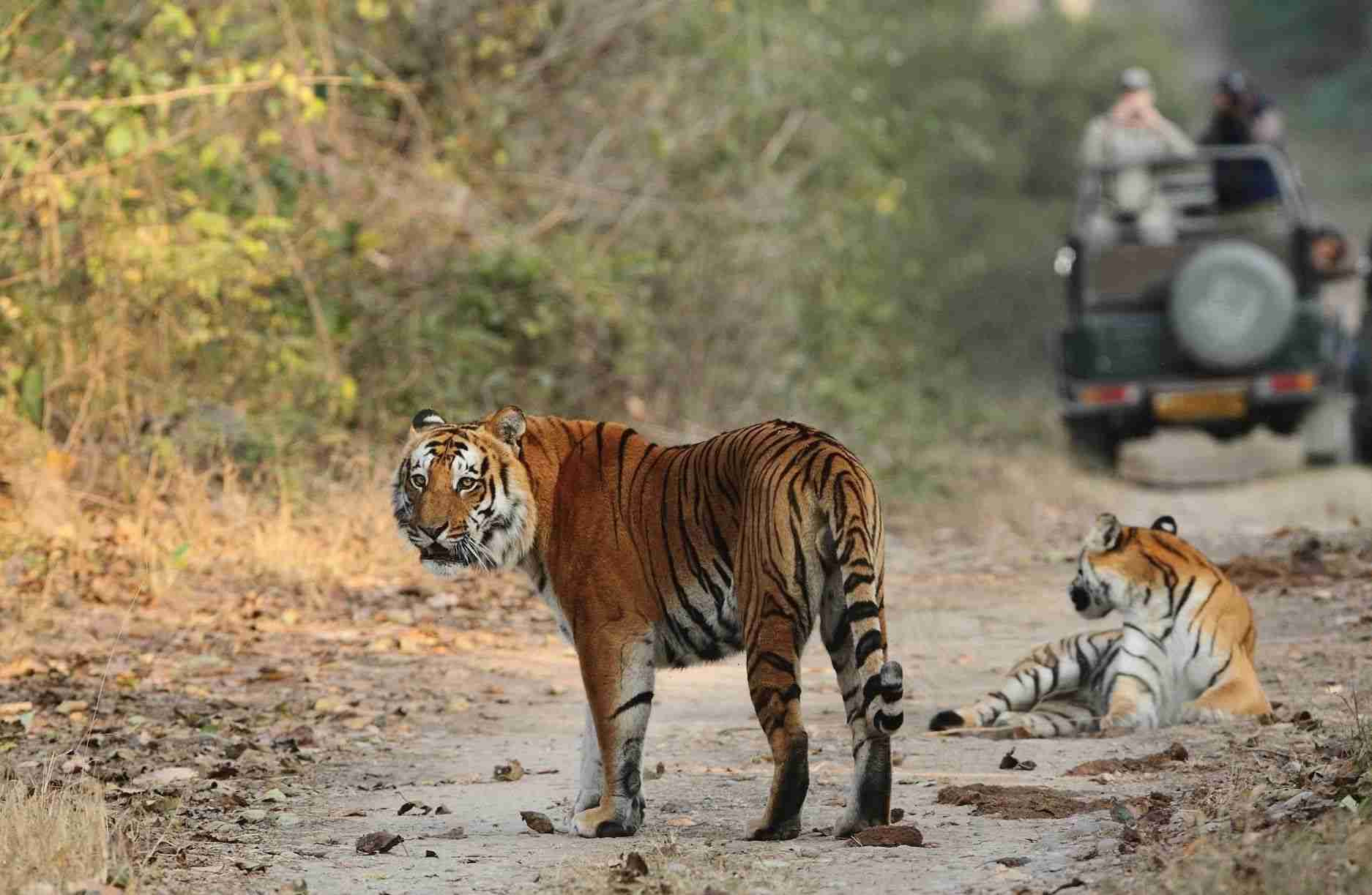 Jim Corbett National Park