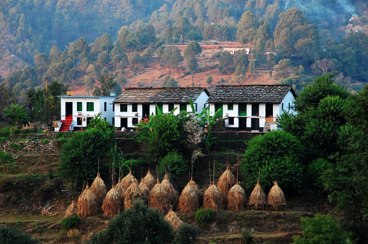 Khali Estate, Binsar, Uttarakhand