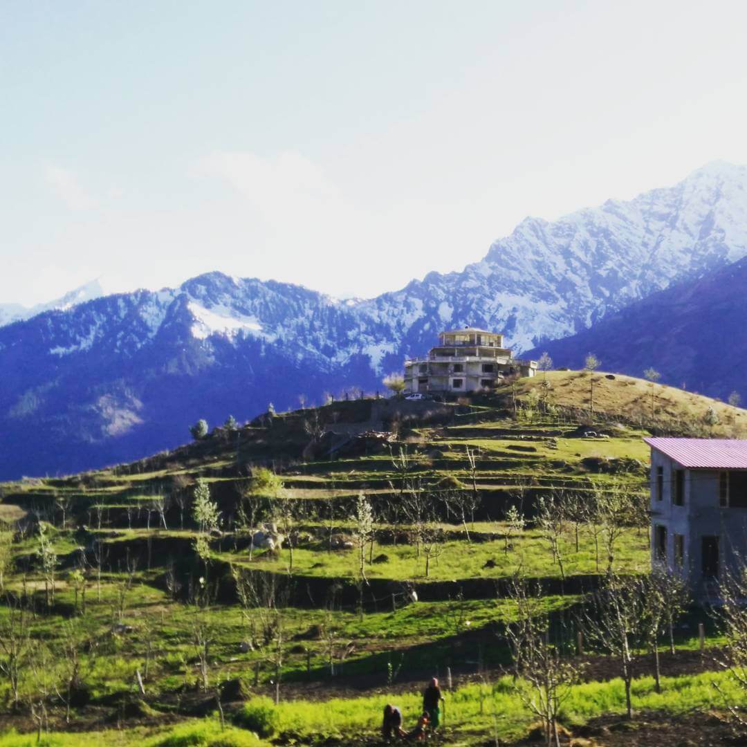 Kothi Village, Himachal