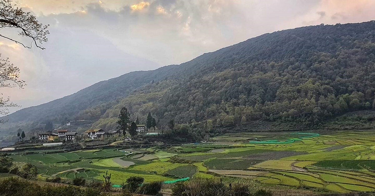 Limbukha, Punakha, Bhutan'