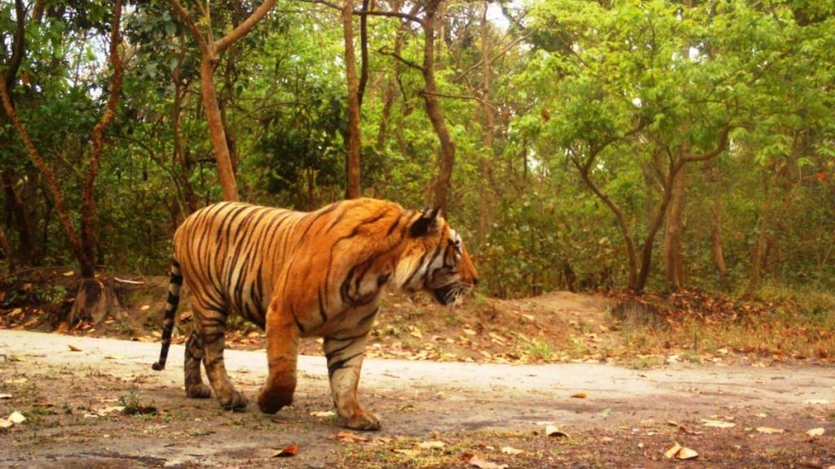 Ranipur Wildlife Sanctuary