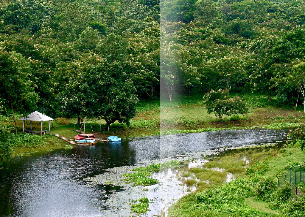 Rasikbil Lake Cooch Behar West Bengal