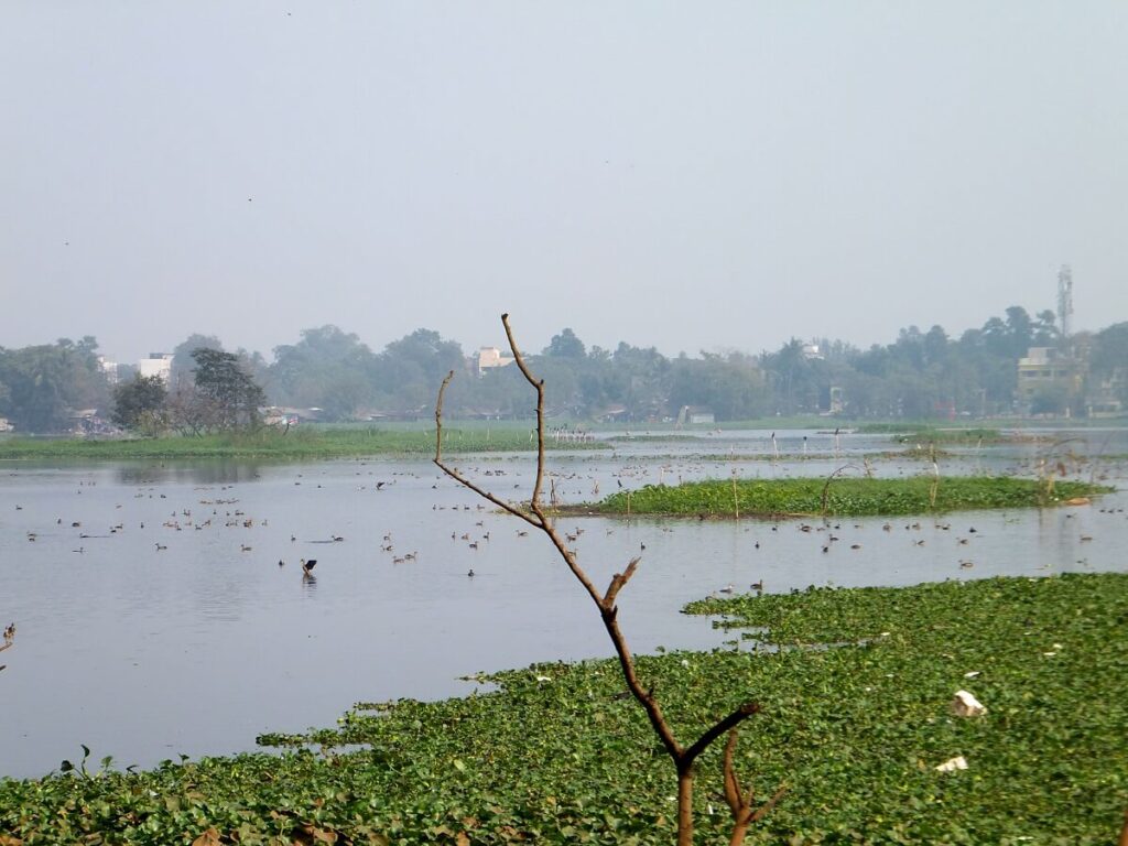 Santragachhi Jheel West Bengal