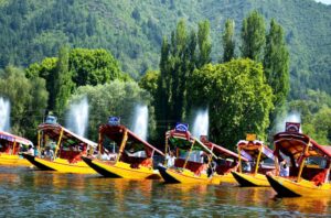 Also Read: Learn About Popular Folk Dances of Jammu Kashmir