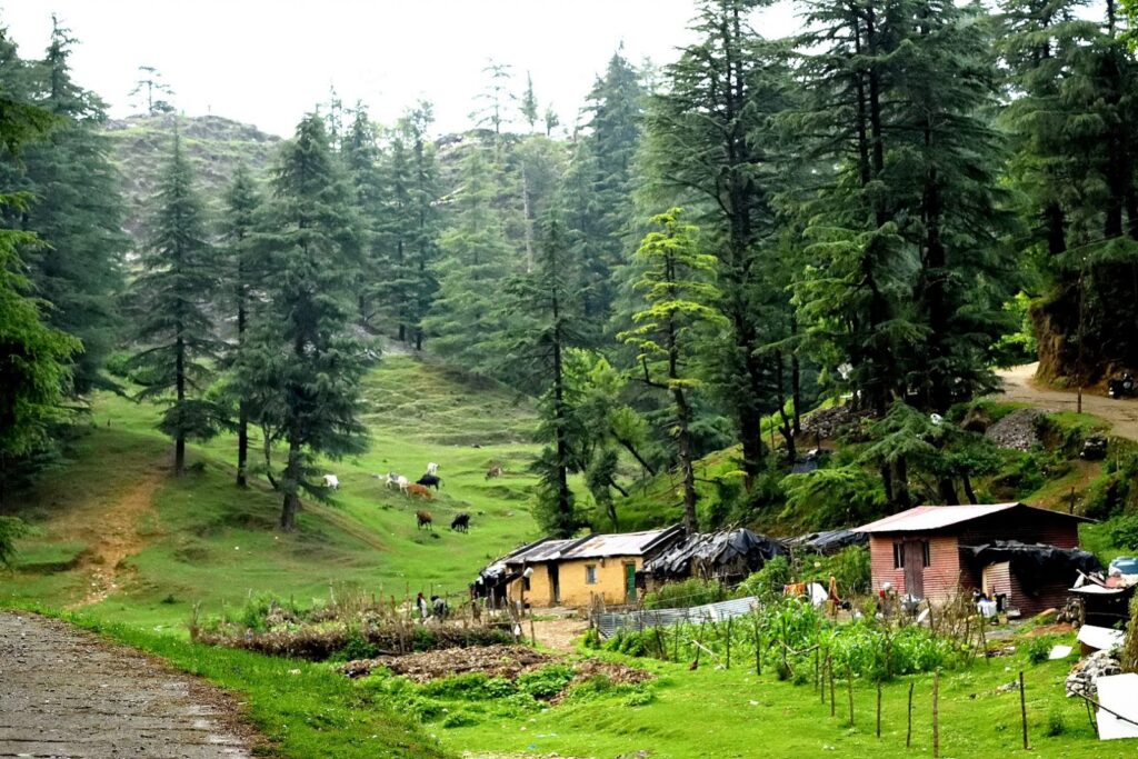 Why Visit Uttarakhand? Top 15 Travel Reasons