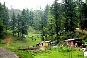 Why Visit Uttarakhand? Top 15 Travel Reasons