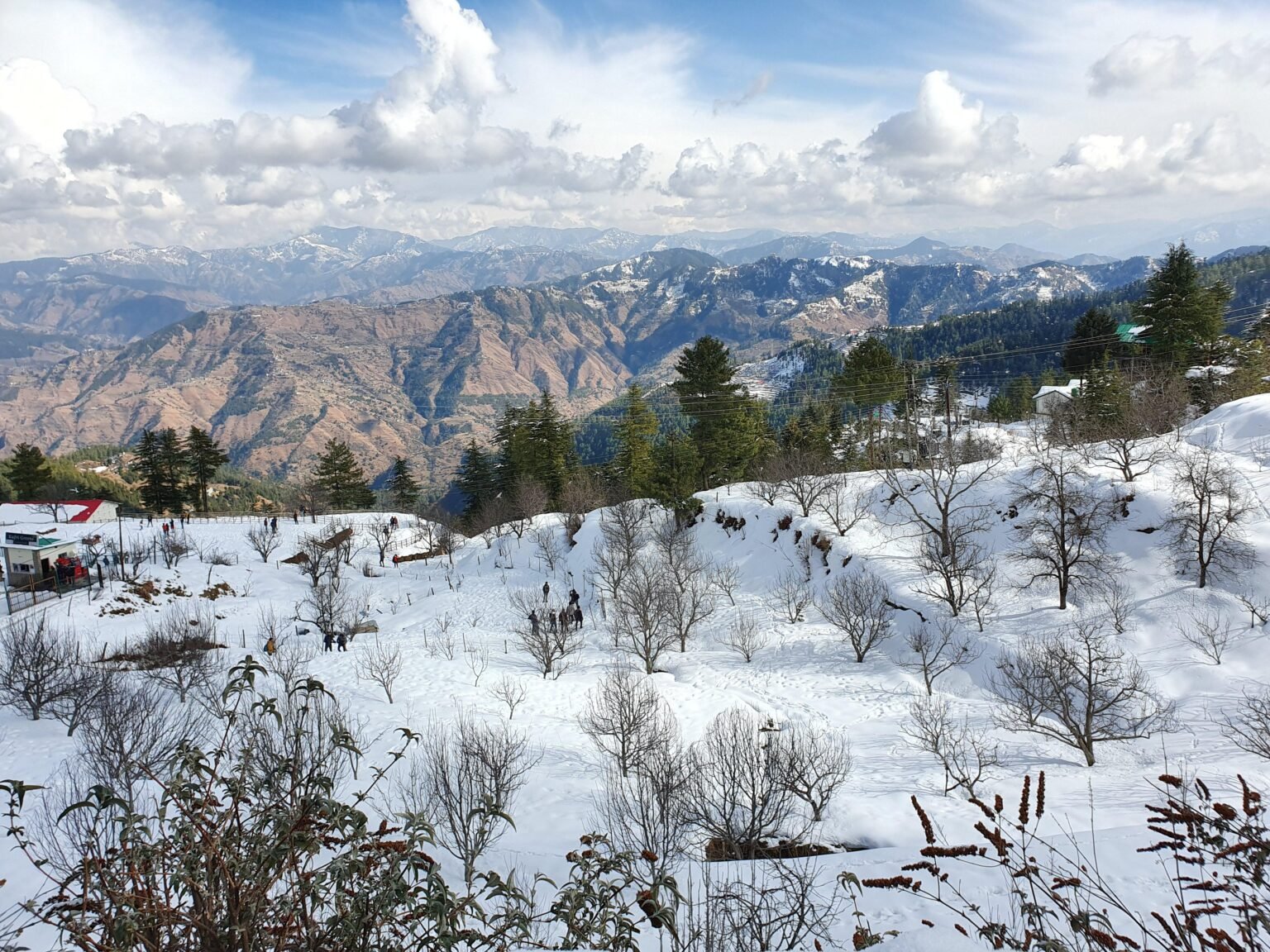 Uttarakhand Kasauli