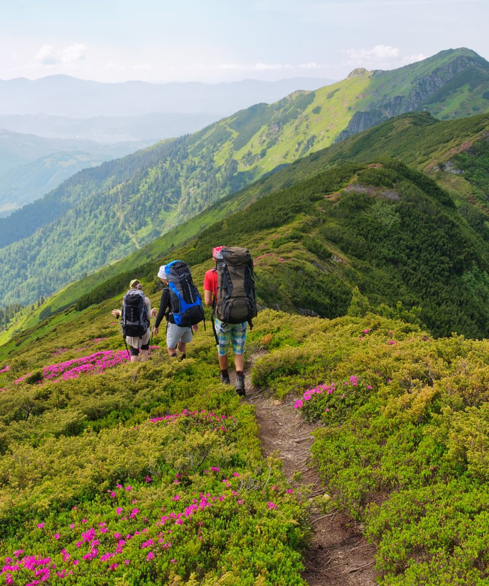Valley of Flowers Trek, Uttarakhand