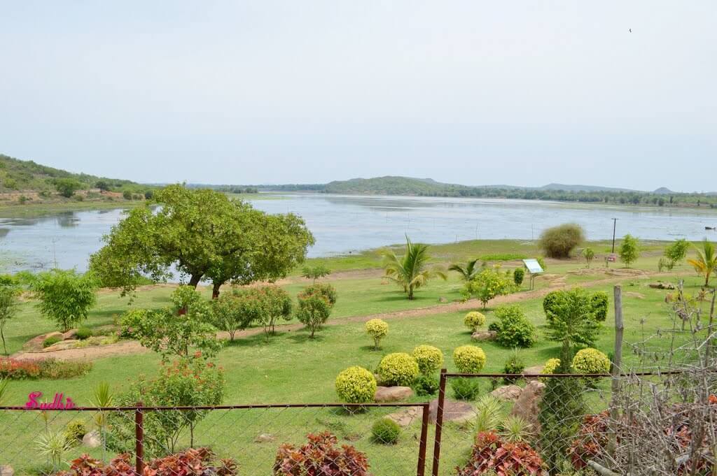 Ansupa Lake Odisha