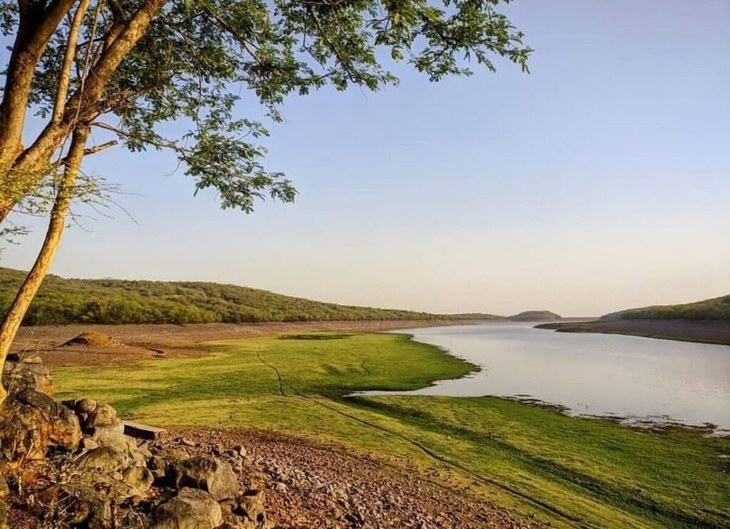 Bassi Wildlife Sanctuary, Chittorgarh, Rajasthan