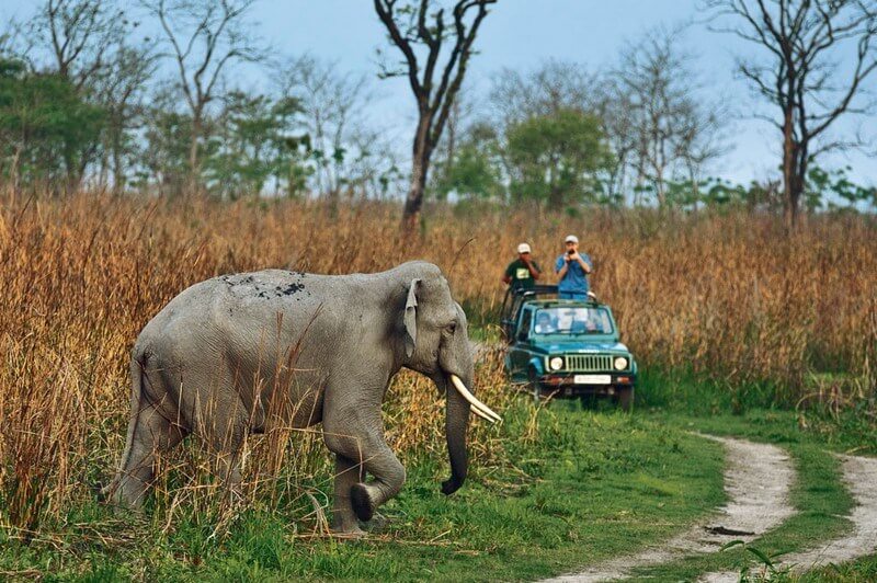 Jeep Safari in Dhikala Zone Corbett National Park