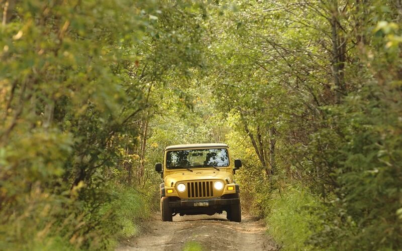 Jeep Safari at Kashmir