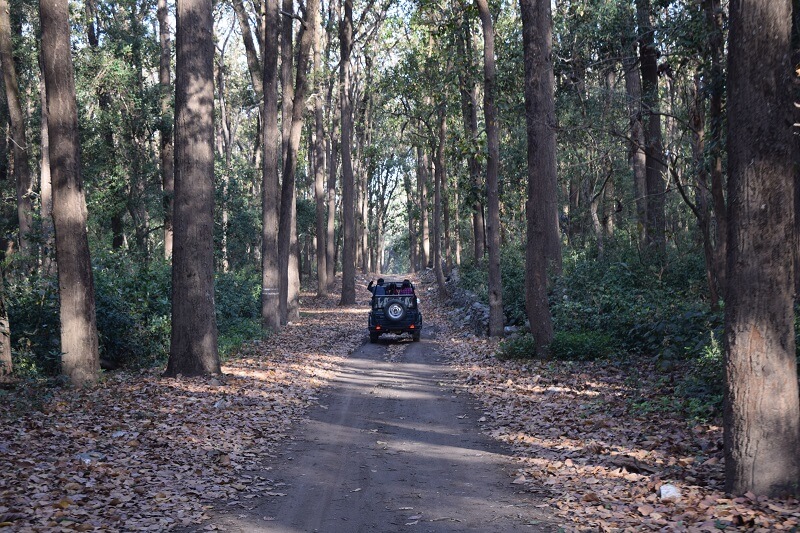 Jhirna Zone Jungle Safari Jim Corbett National Park