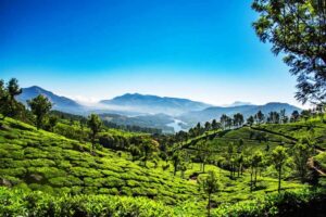 Latest Kerala Covid Update | COVID-19 Travel Guidelines for Kerala