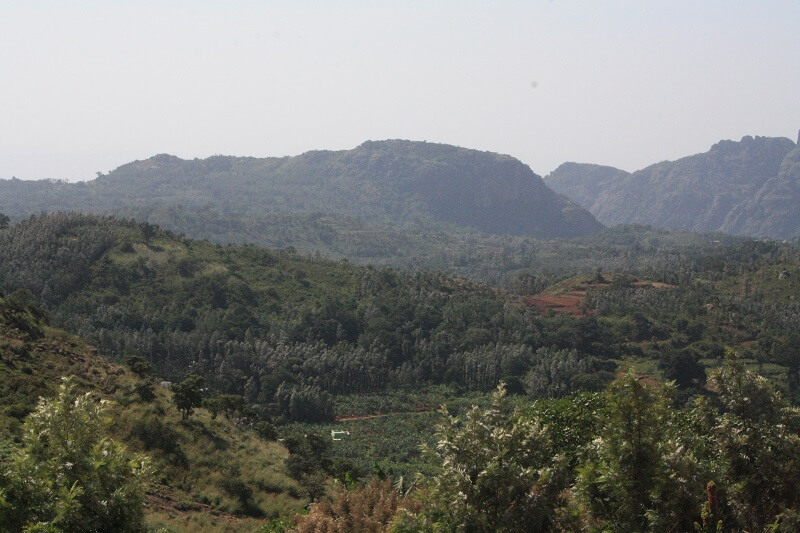 Kolli Hills