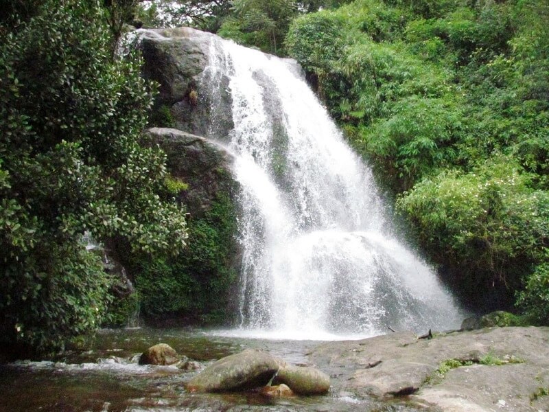 Nyayamakad Waterfalls, Kerala