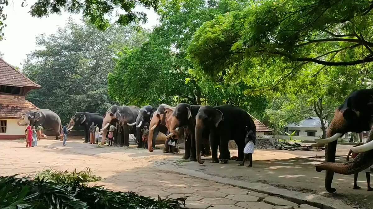 Punnathur Kotta Thrissur Kerala