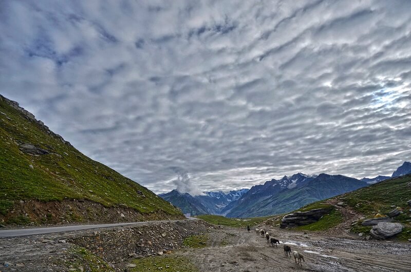 Rohtang Pass, Manali