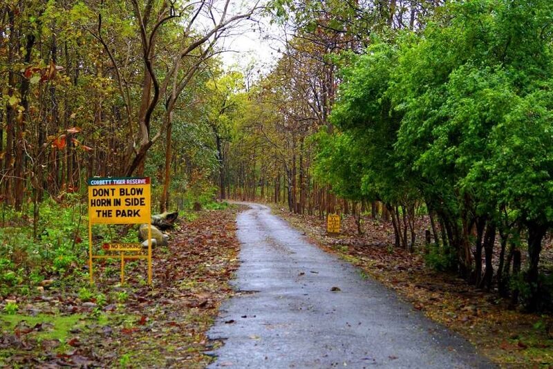 Sitabani Buffer Zone Jim Corbett National Park